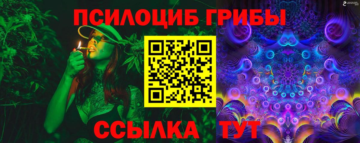 даркнет сайт  Псилоцибиновые грибы Psilocybe  Вход с VPN  Лосино-Петровский  Псилоцибиновые грибы MAGIC MUSHROOMS 